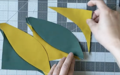Protected: Twin Blooms: Video Tutorials